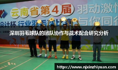 深圳羽毛球队的团队协作与战术配合研究分析